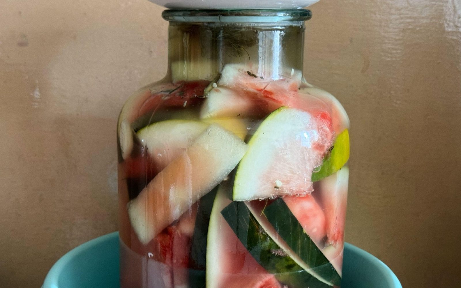 Vložena lubenica v steklenem kozarcu s slanico, ki prikazuje koščke rdeče sredice in bele ter zelene lupine. Tradicionalna priprava poletne poslastice iz Vzhodne Evrope in Kavkaza.