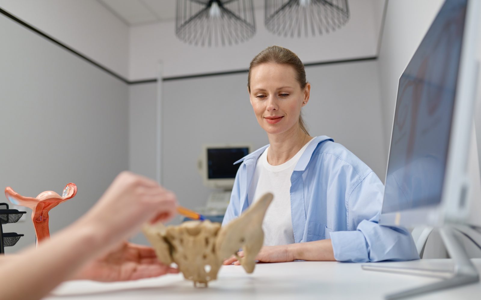 ginekologinja ženski prikazuje model medeničnega dna