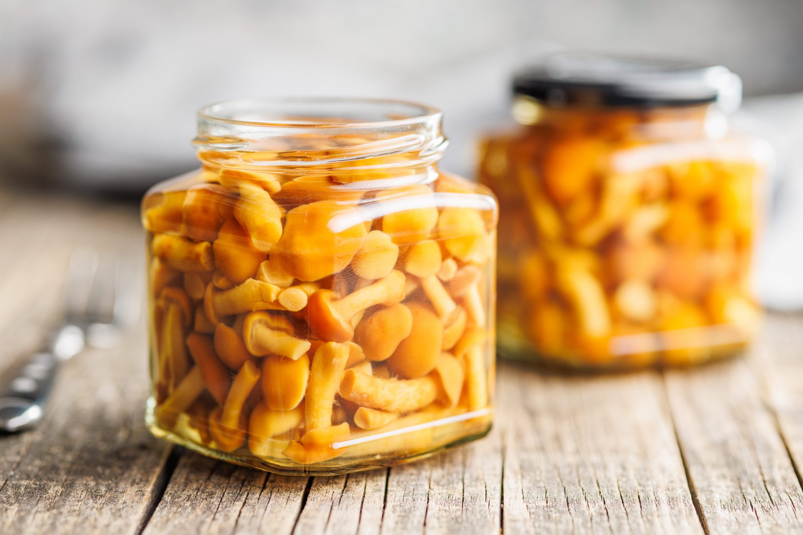 V kis vložene gobice.