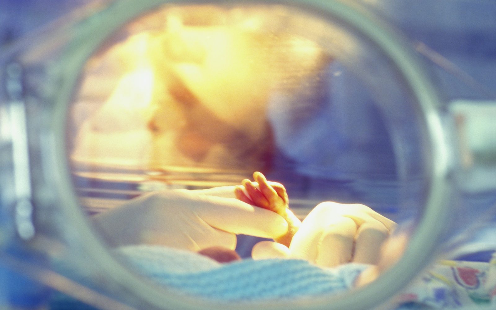 Nedonošenček v inkubatorju, ki prejema pomoč – Projekt Hobotnica zbira kvačkane hobotnice za podporo najmlajšim