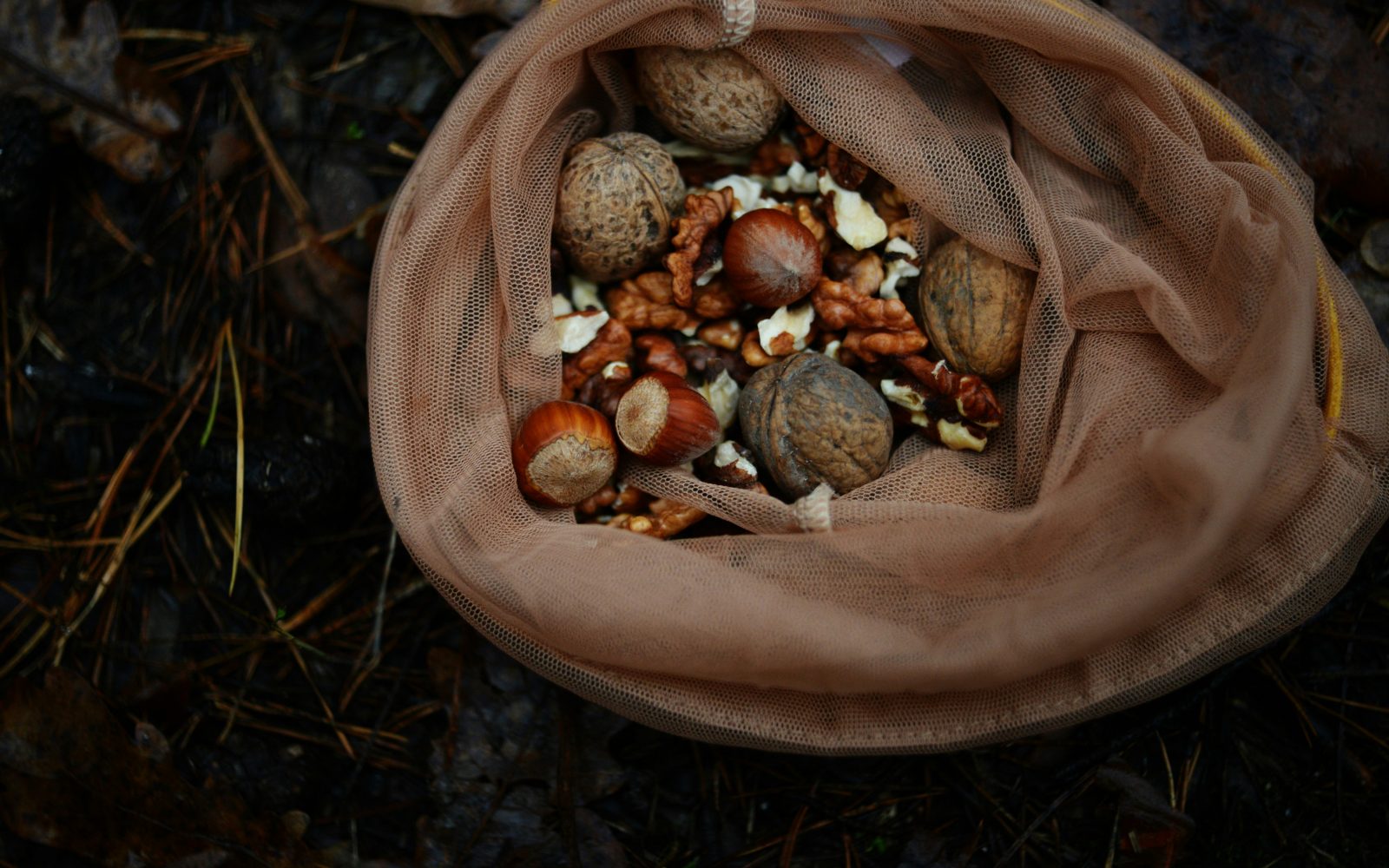 Neolupljeni in olupljeni oreški v vreči