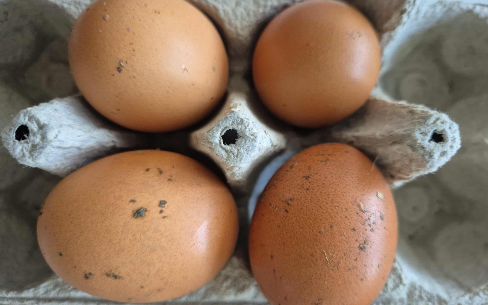 Umazana jajca v kartonski embalaži – strokovnjaki svetujejo, da jih ne peremo, ampak zavržemo