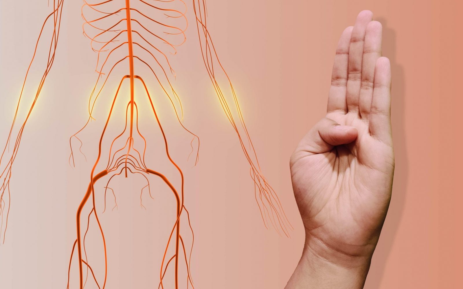 Poceni strategija za pomoč starejšim pri ohranjanju dobrih živcev