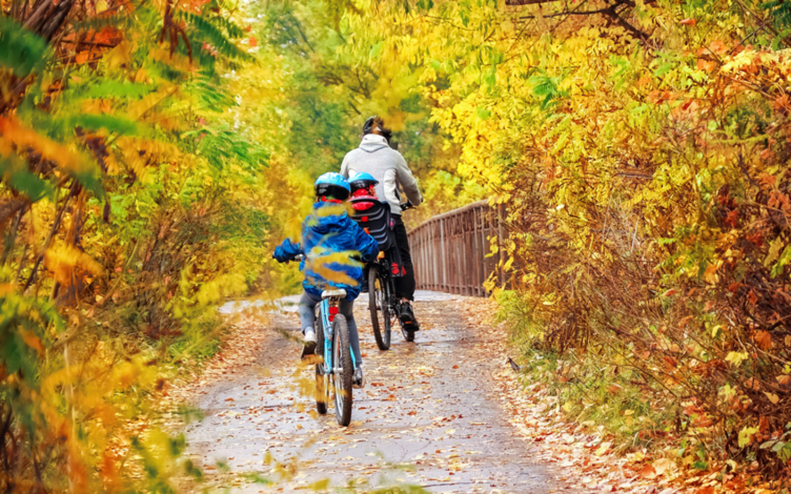 Družina kolesari po parku - zabavna in koristna telesna dejavnost za celo družino