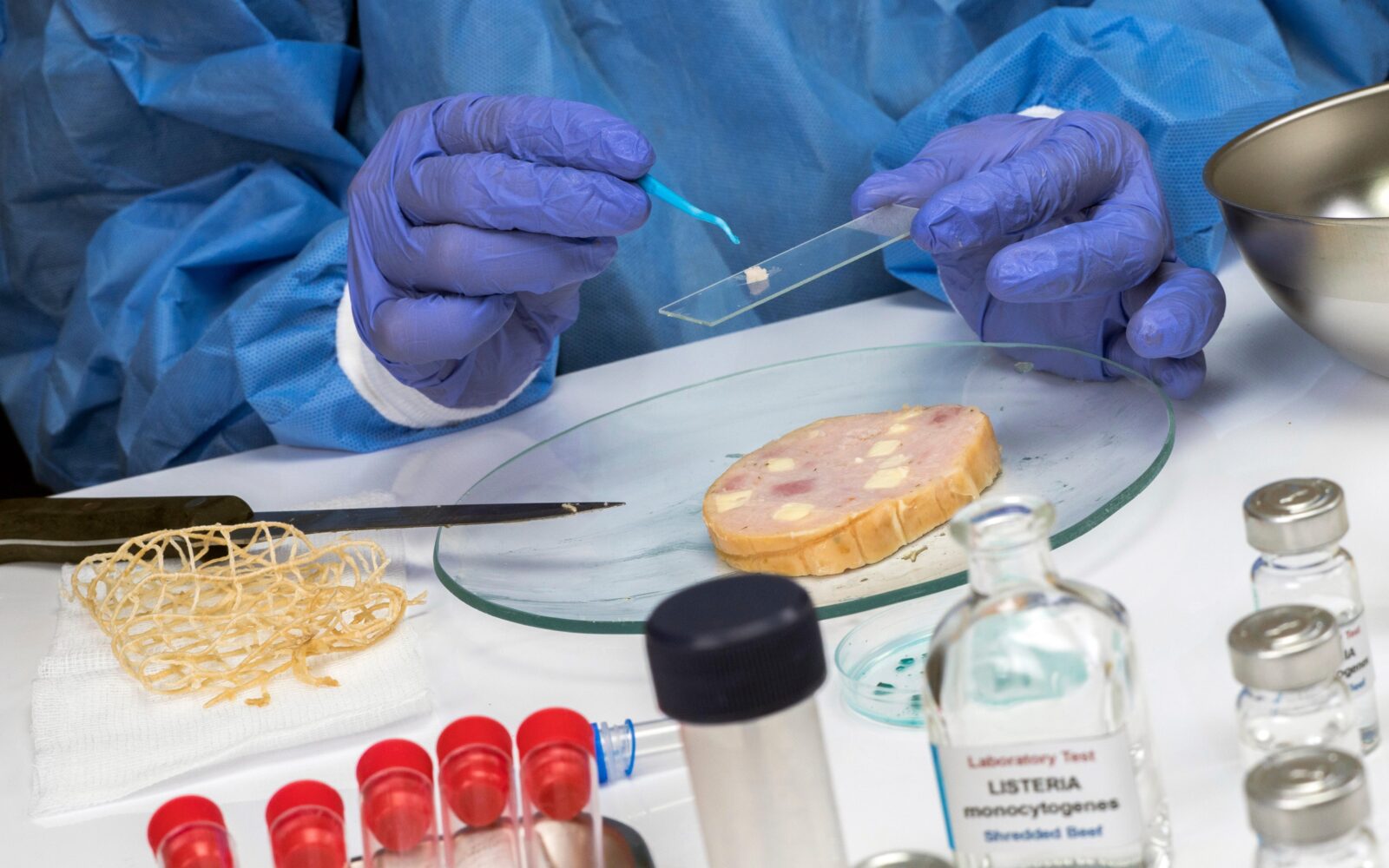 Laboratorijsko testiranje hrane na Listeria monocytogenes – preverjanje varnosti živil.