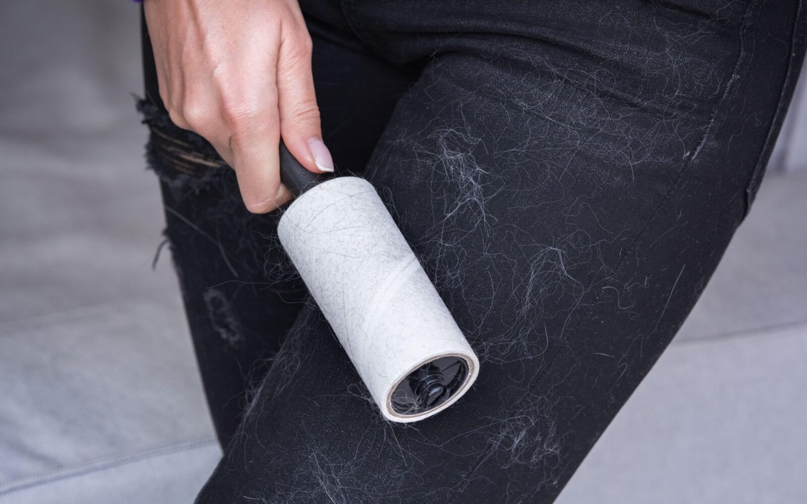 Oseba z valjčkom odstranjuje lase in živalsko dlako s temnih oblačil.