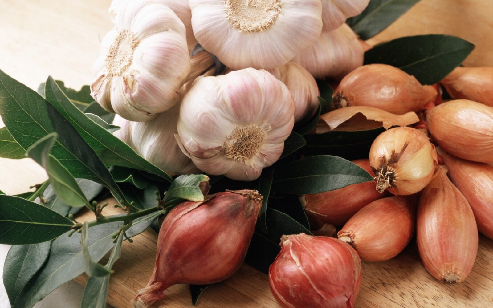 Česen in čebula – naravni viri prebiotikov