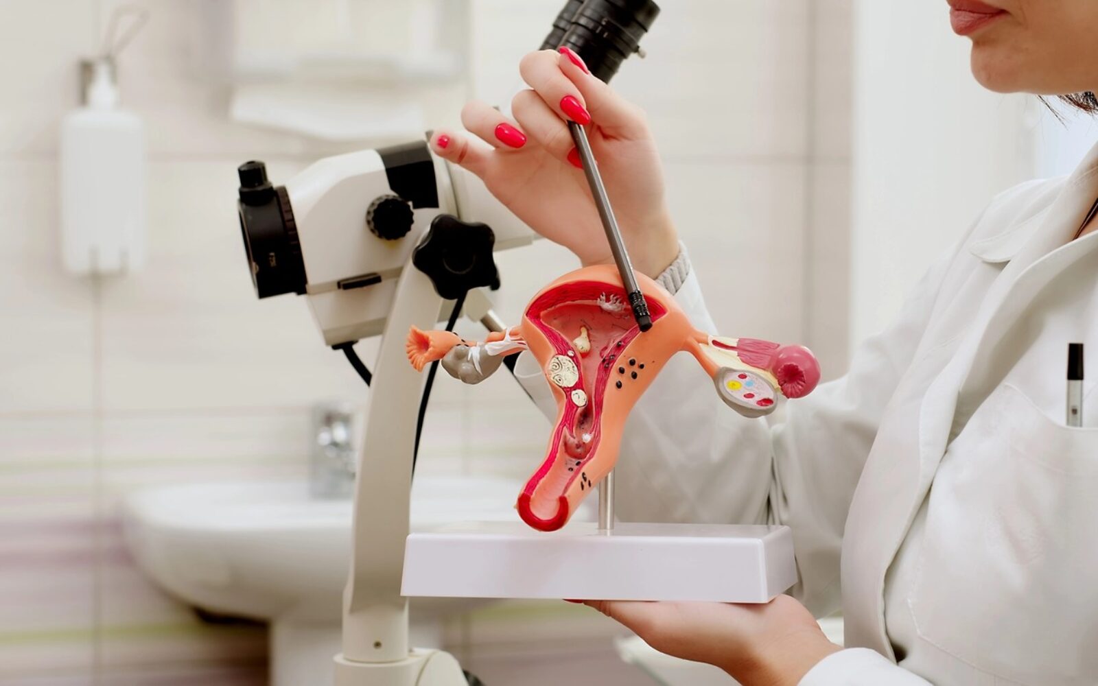 Model maternice pri strokovni diagnostiki neplodnosti