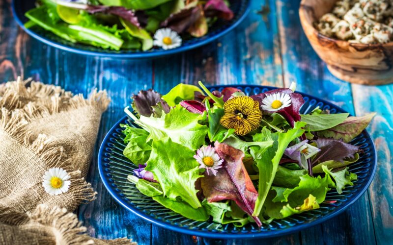 Prve pomladne rastline za nabiranje marca: od marjetice do čemaža