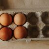 kartonska embalaža za jajca z rjavimi jajci