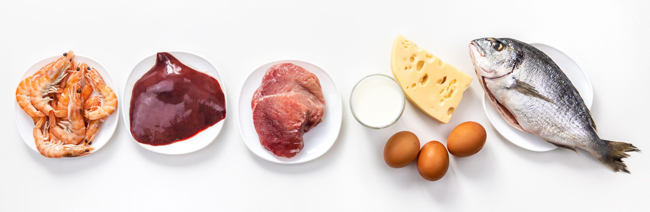 Na beli podlagi živila, ki so dobri prehranski viri vitamina B12 - ribe, školjke, raki, jetrca, siri, jogurt, jajca.