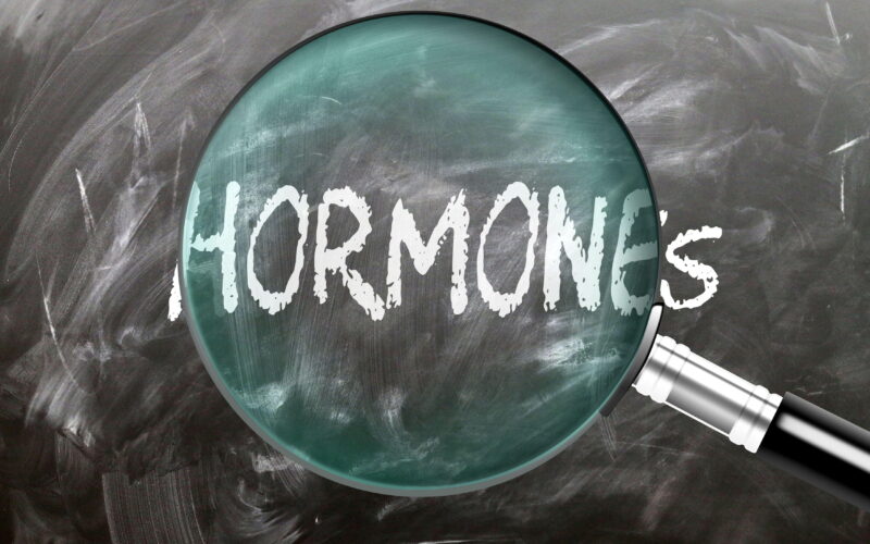 Hormoni pod drobnogledom: kaj vam sporoča vaše telo?