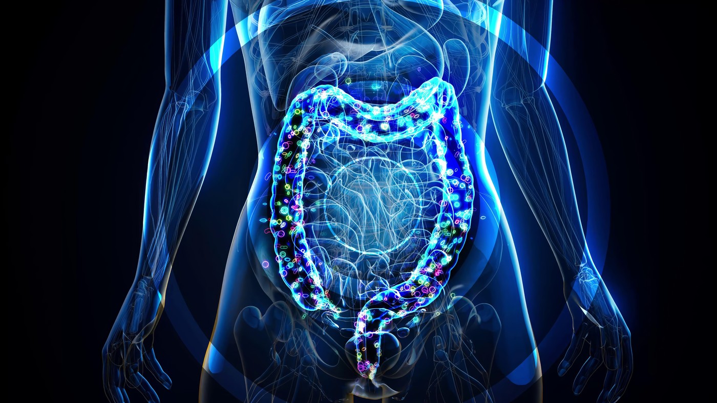 Prikaz črevesnega mikrobioma in bakterij v človeškem prebavnem sistemu