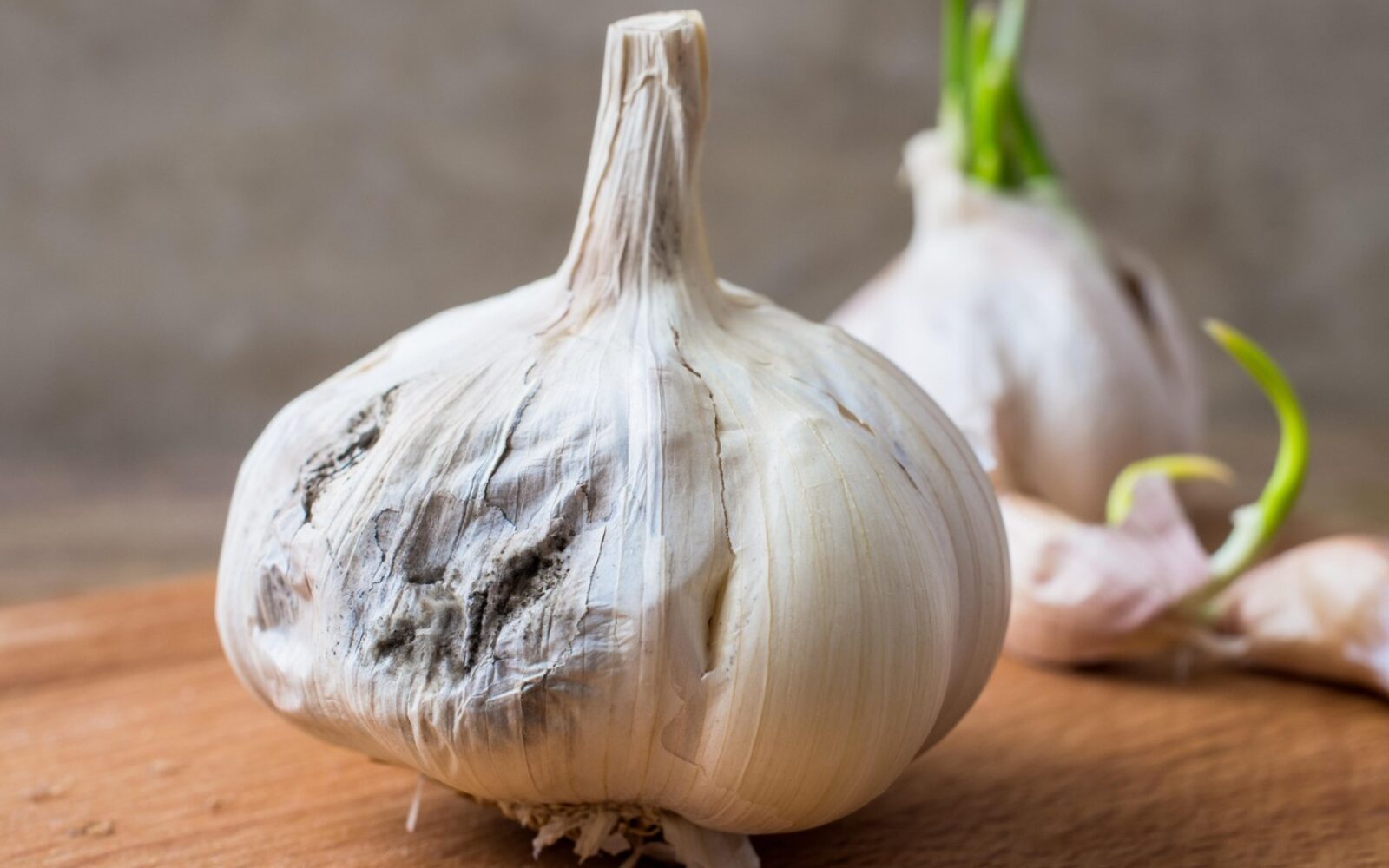 Plesniv česen zaradi nepravilnega shranjevanja na kuhinjski površini