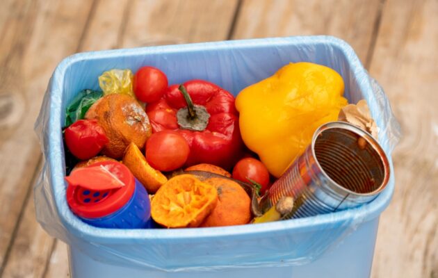 Največ hrane zavržemo prav v gospodinjstvih – pogosto še povsem užitno.