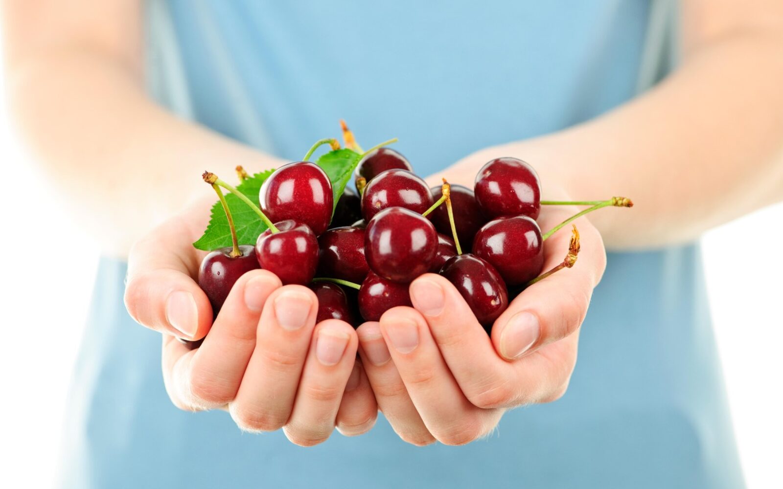 Posoda s svežimi rdečimi češnjami in zelenimi peclji v rokah ženske.