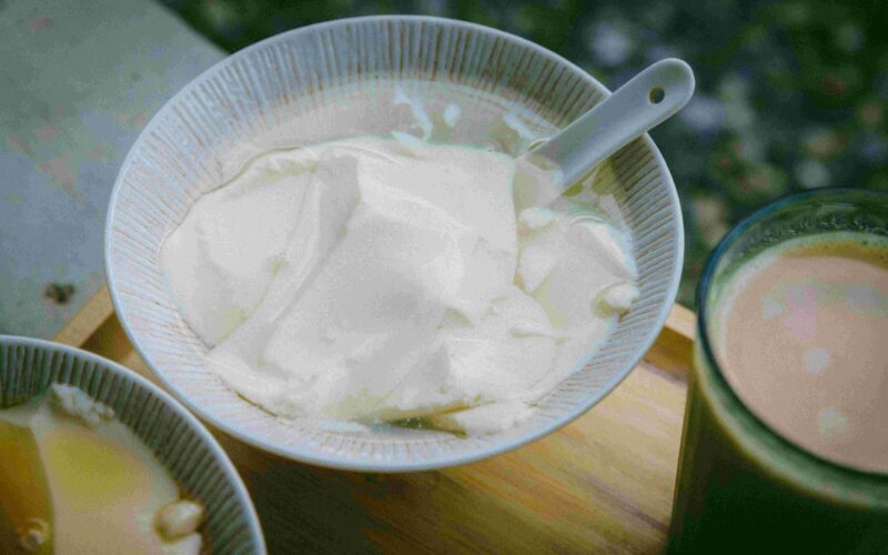 Navaden jogurt, z beljakovinami ali grški ? Kateri je “najboljši”?