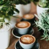 kava