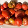 Plesen in kvarjenje paradižnika