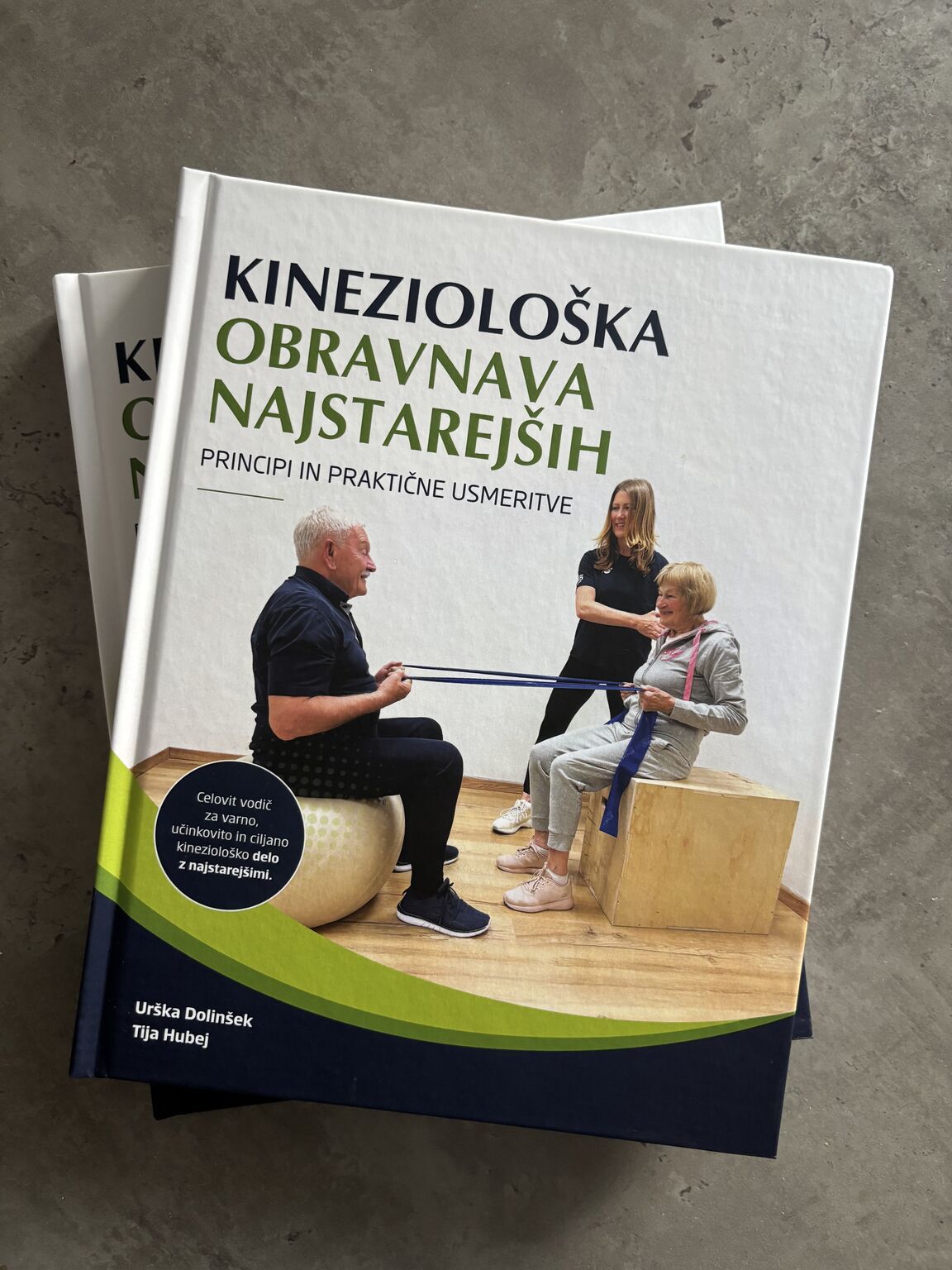 Priročnik za kineziološko obravnavo starejših