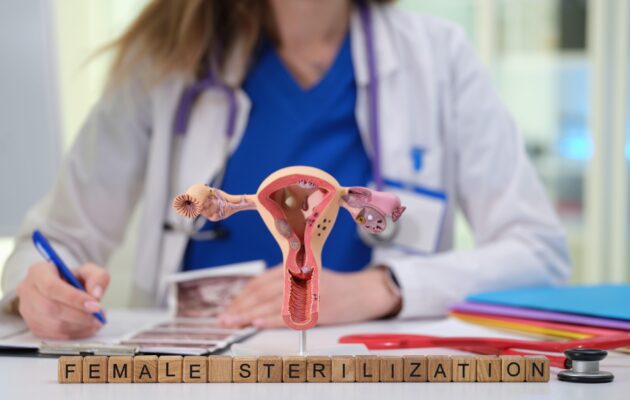 Zdravnica ginekologinja sedi za mizo in se s pomočjo anatomskega modela ženskega reproduktivnega sistema pogovarja o ženski sterilizaciji.