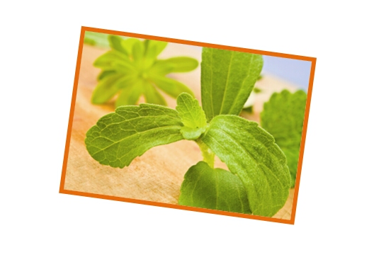 stevia FAF748E0-50BA-11E1-99E8-E45F66B94067