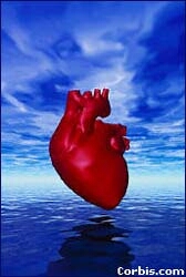 63C11C1A-4B58-11E1-9166-B46665B94067