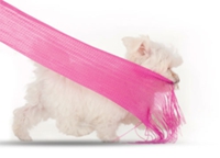 migamo-tivoli-2.jpg 7460B57C-9B52-11E1-AFC5-4FAE65B94067