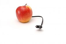 18AB98EC-DAD0-11E1-8846-91B165B94067