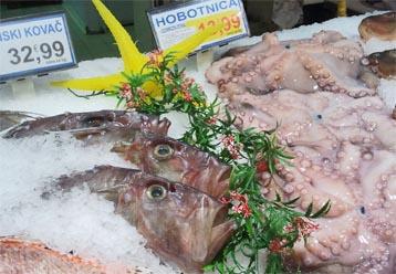 80E8C504-50CB-11E1-8EFB-E45F66B94067